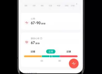 Xiaomi releases heart rate monitoring technology