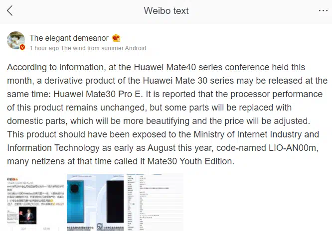 Huawei Mate 30 Pro E