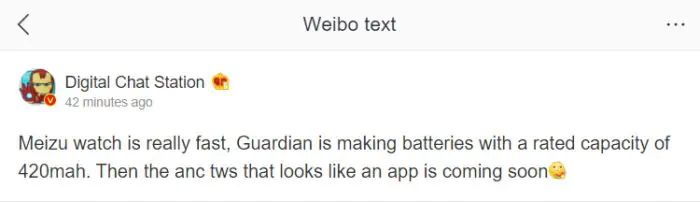 meizu watch