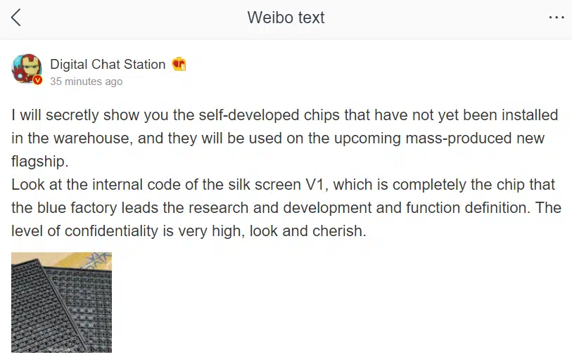 Vivo V1 chip