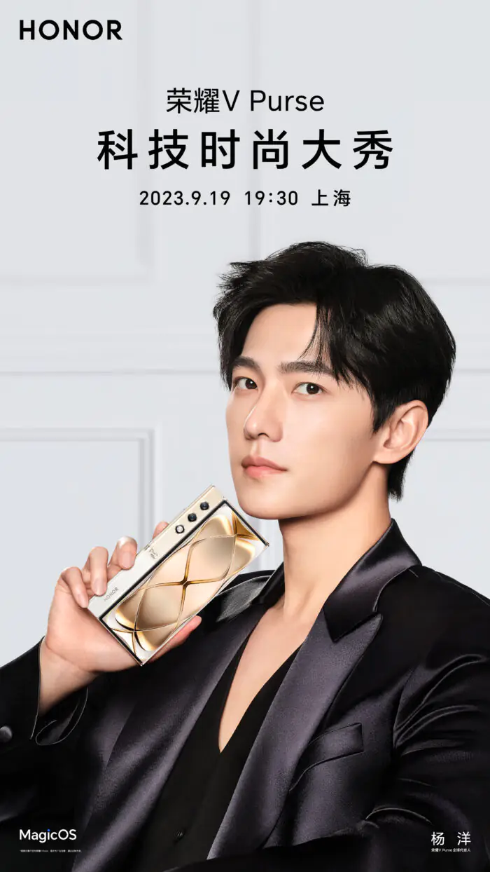 Honor V Purse